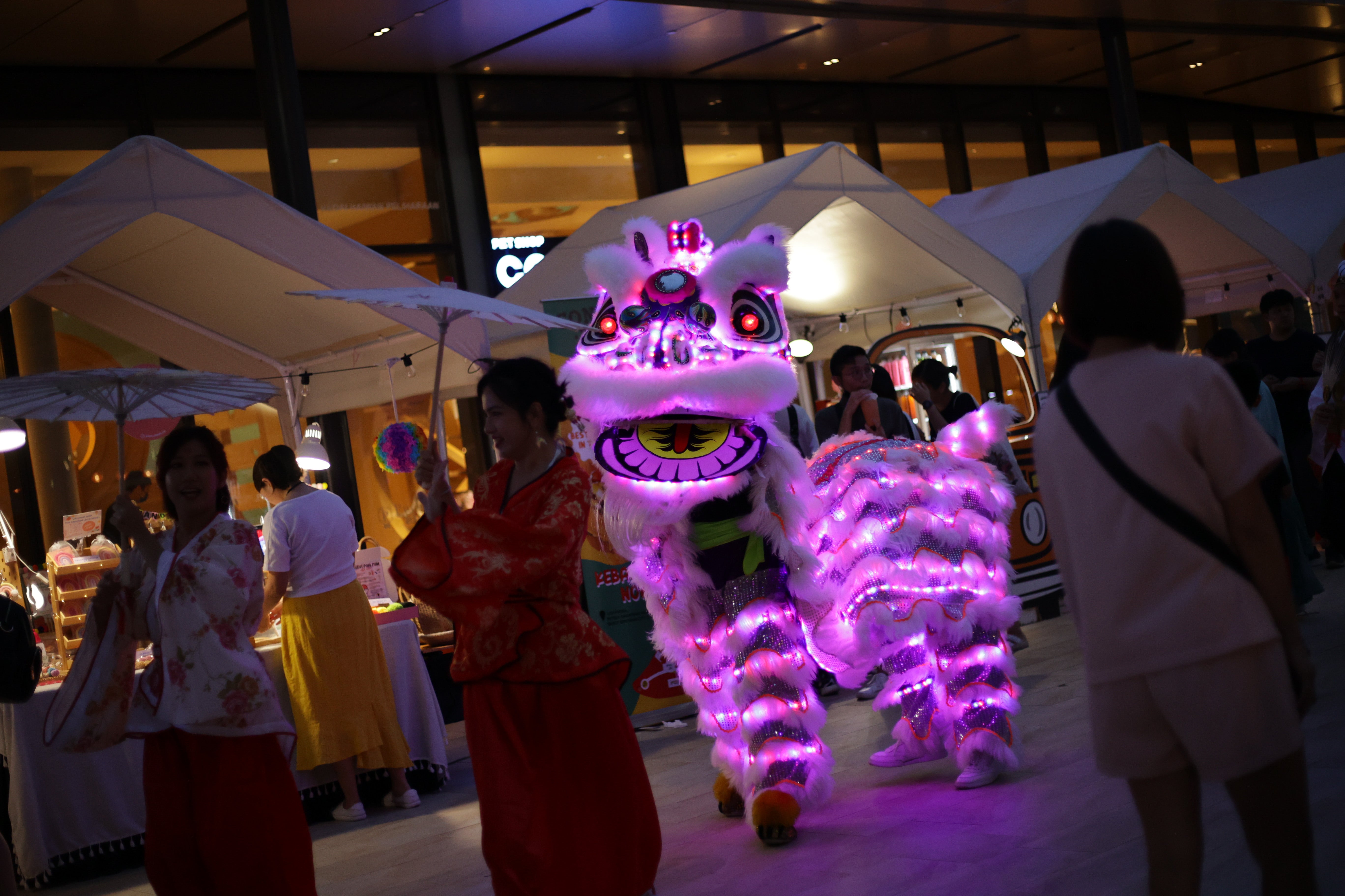 LED LION DANCE