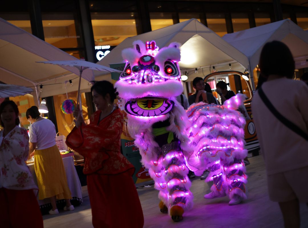 LED LION DANCE